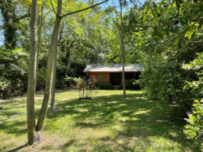 Chalet privé en Provence